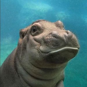 Meet your Posher, Zak